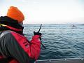 Bering Strait Crossing 248